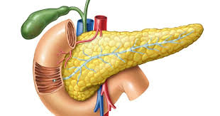 images 1 - Laparoscopic Surgeon Dr. Digant Pathak
