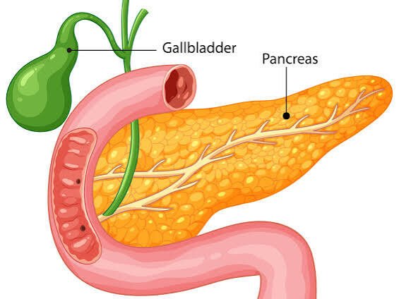 images edited - Laparoscopic Surgeon Dr. Digant Pathak